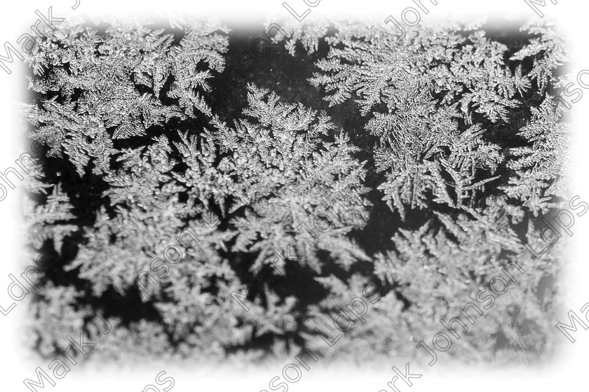 MG 5286a 
 Keywords: MACRO, black and white, cold weather, crystals, frost flakes, frost macro, jack frost, mono, nature, true macro, winter