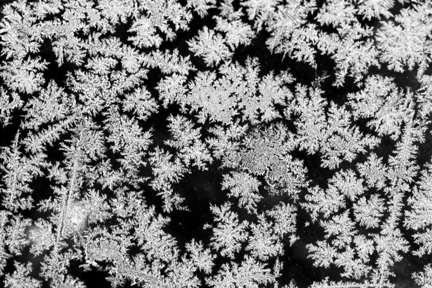 MG 5289a HCBW 
 Keywords: MACRO, black and white, cold weather, crystals, frost flakes, frost macro, jack frost, mono, nature, true macro, winter