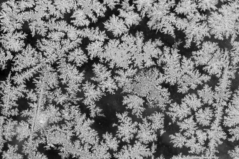 MG 5289a 
 Keywords: MACRO, black and white, cold weather, crystals, frost flakes, frost macro, jack frost, mono, nature, true macro, winter