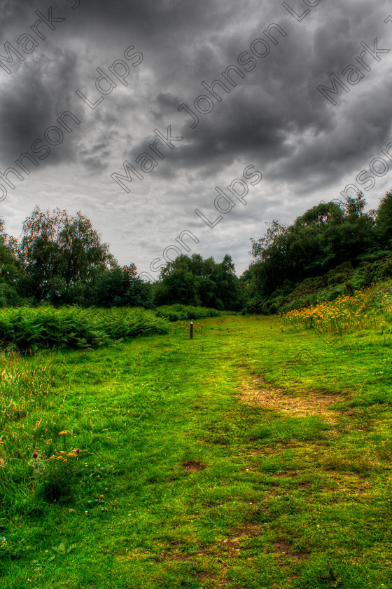 PRFD MG 4218 22 23 
 @ the beginning! 
 Keywords: British Countryside, England, Green, HDR, High Dynamic Range, Stockgrove, Storm Clouds, Trails, cloudy, overcast